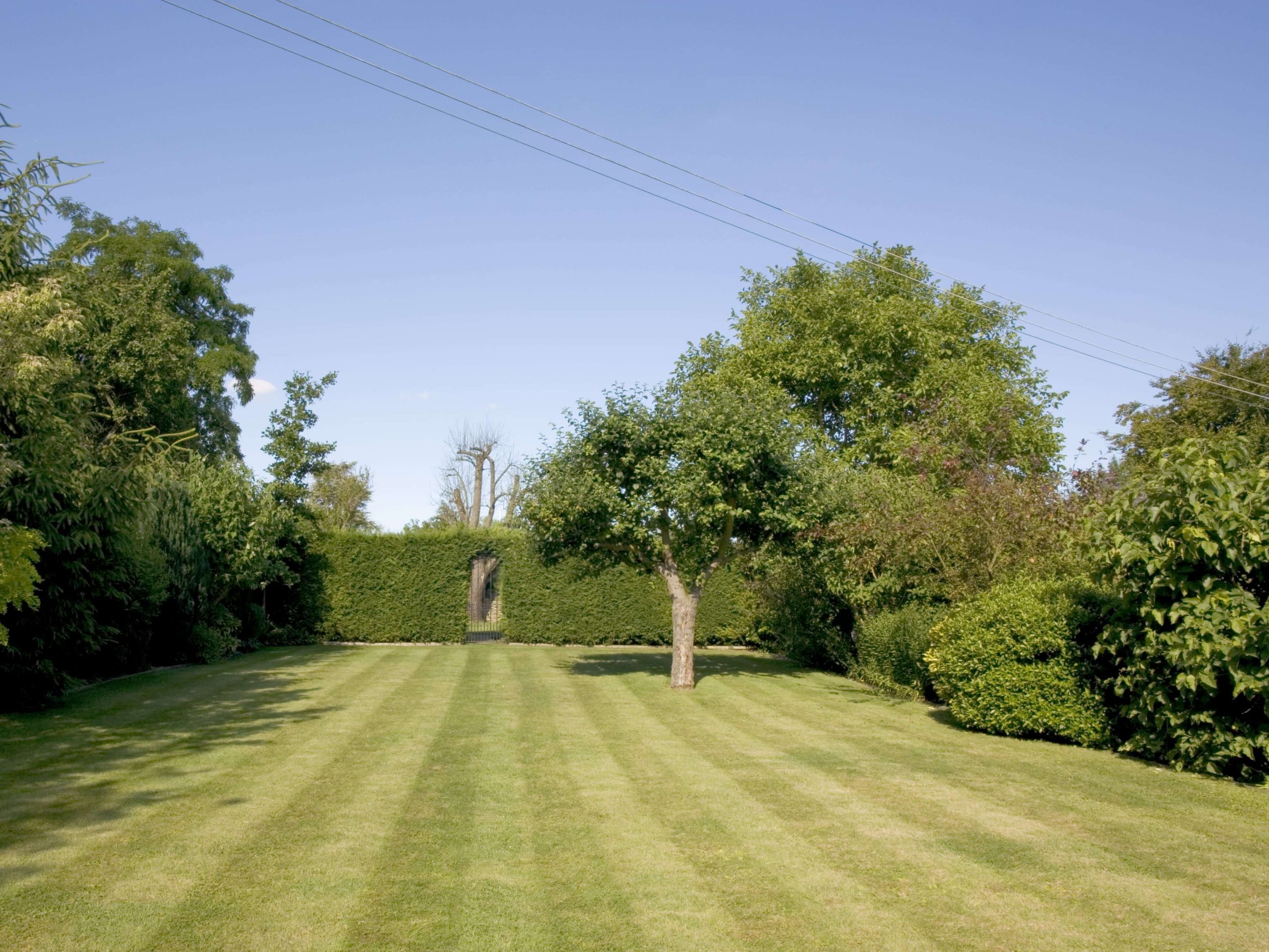 Lawn Mowing/Hedge Trimming Catford SE6