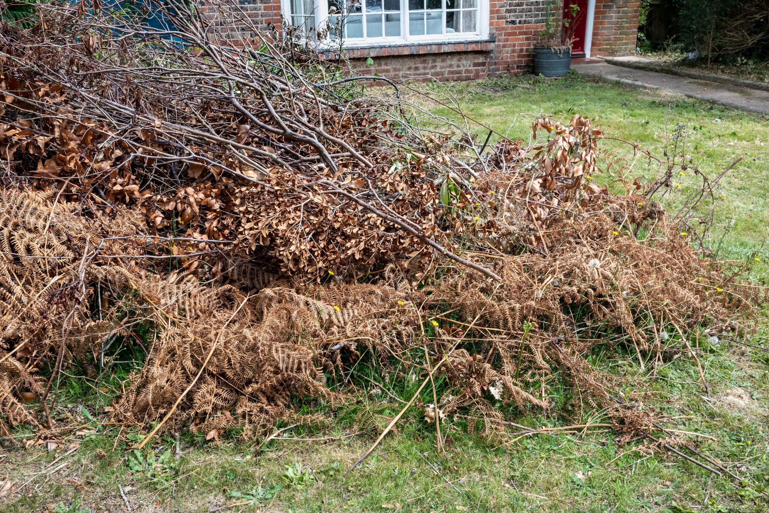 Garden Clearance Catford SE6