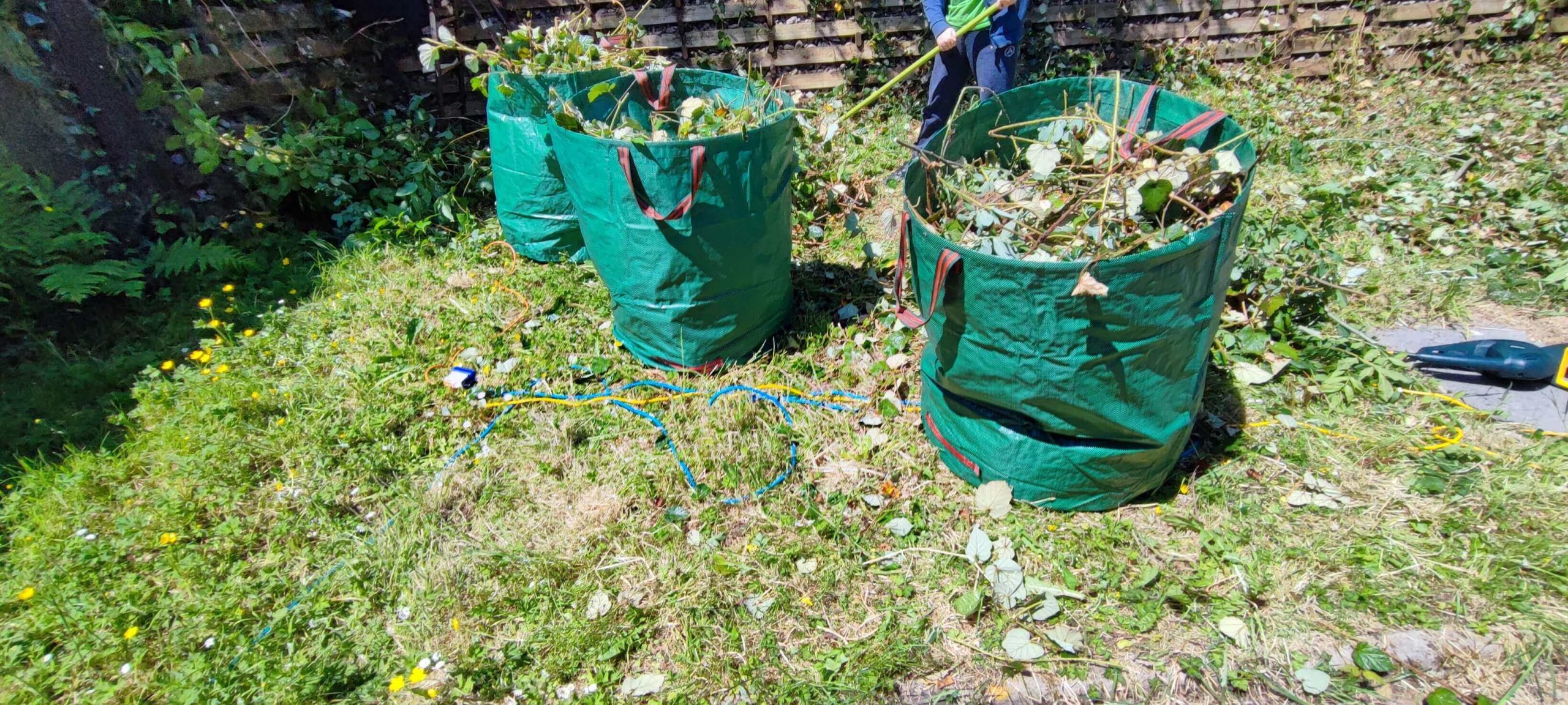 Green Waste Removals Catford SE6