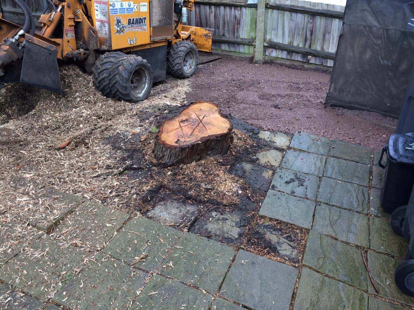 Tree Surgeons Catford SE6